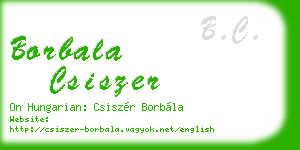borbala csiszer business card